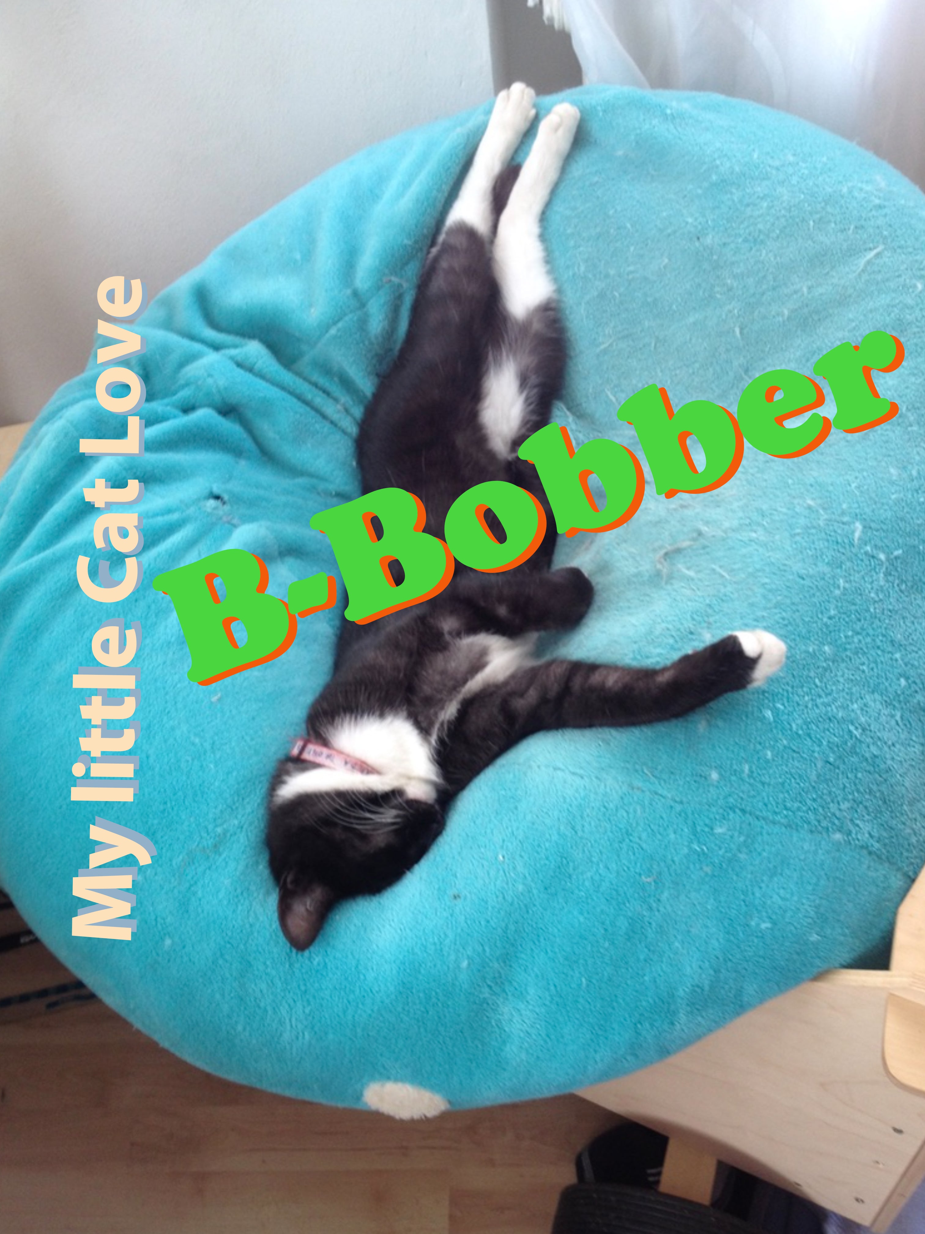 new crew new luck now with:B-Bobber and the song:"My little Cat Love"as a 32 bit 48 kHz loosless wav file