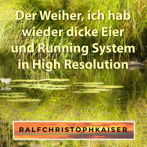 neuer electronica Hit in extendet Version und High Resolution: Running System und das Musik Video: Der Weiher, ich hab wieder dicke Eier by Ralf Christoph Kaiser und Kaiser Musix jetzt online im Store