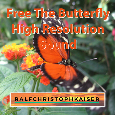 New electronica EP Free The Butterfly in High Resolution Sound by Ralf Christoph Kaiser available now