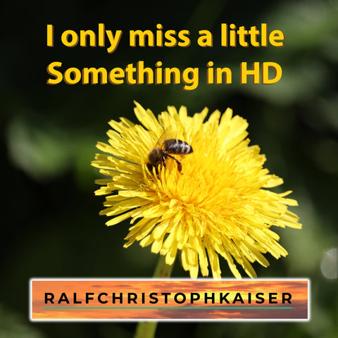 Jetzt neu die alternative Rock Songs von Ralf Christoph kaiser und Band in HD Sound