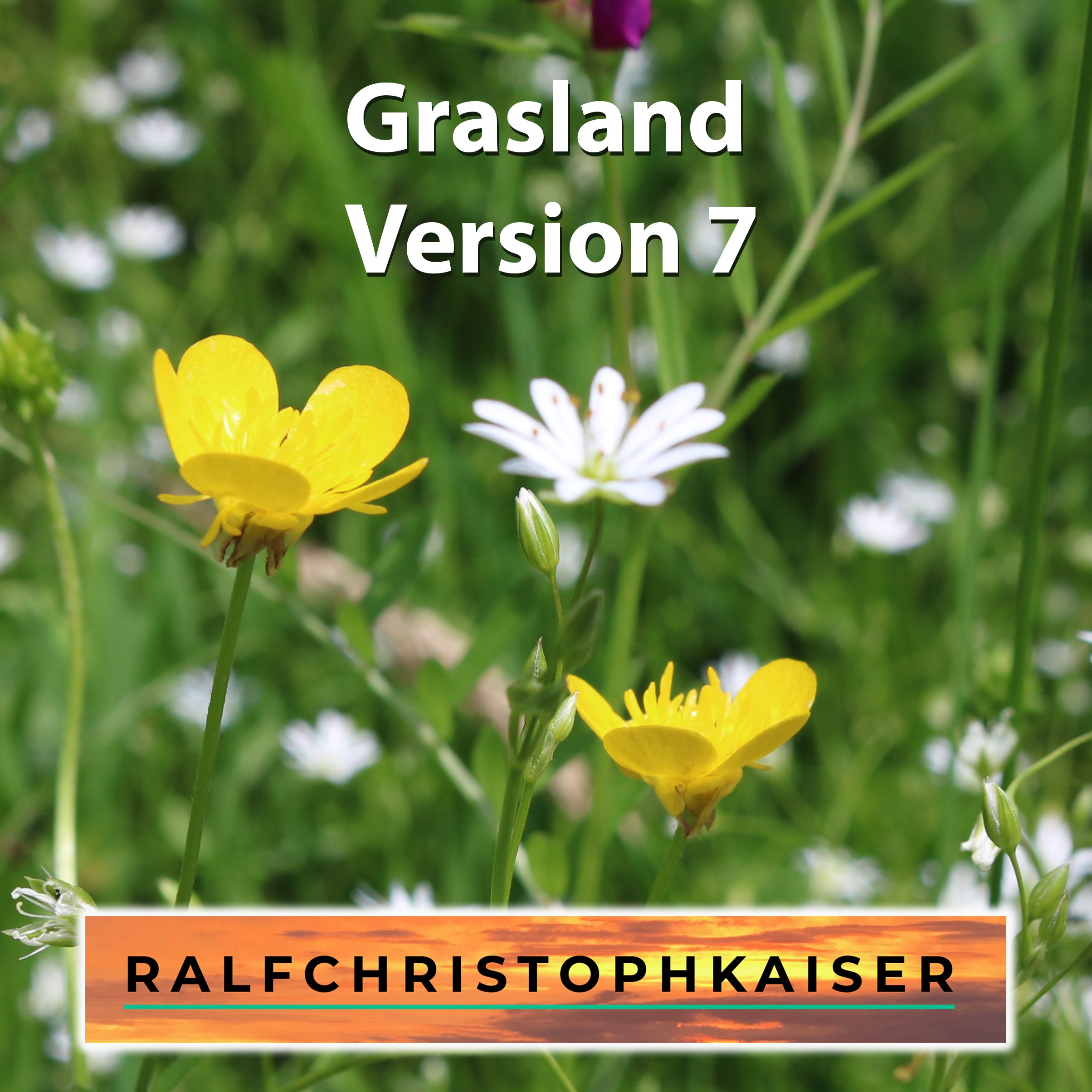 Grasland in E-Moll Version 7 by Ralf Christoph Kaiser Full Score Leadsheet and Parts - ralfchristophkaiser.com Musik und Noten