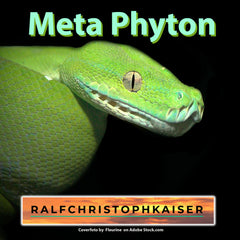 Meta Phyton the new electronica song by Ralf Christoph Kaiser now available for free sharing and in HD
