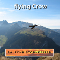flying crow complete fan package for producers and musicians with midi, sheet music and wav and settings and tricks