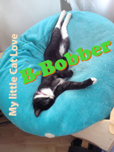 neue Crew neues Glück jetzt mit: B-Bobber und dem Song: "My little Cat Love" als 32 bit 48 Khz loosless wav Datei